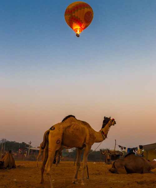 Hot Air Balloning Pushkar
