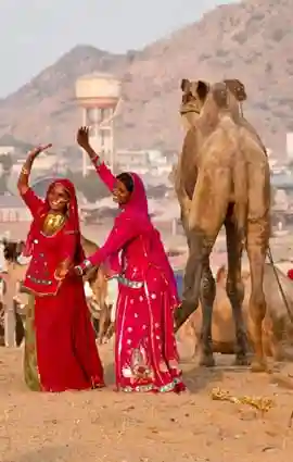 Pushkar fair programmes